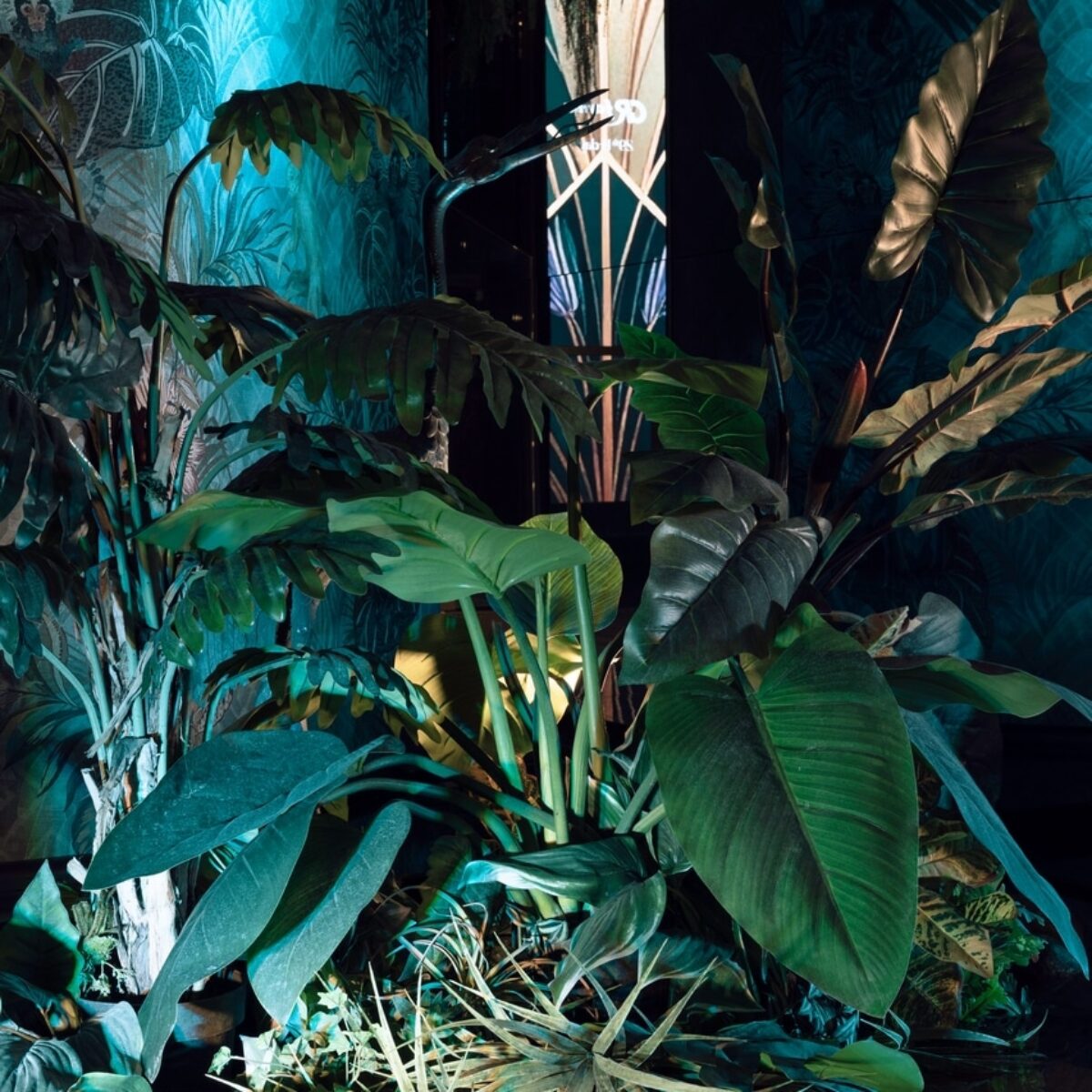 29th ANNIVERSARY GR Farma