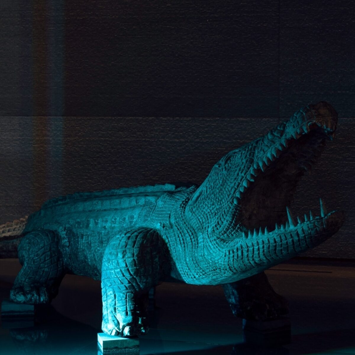 29th ANNIVERSARY GR Farma