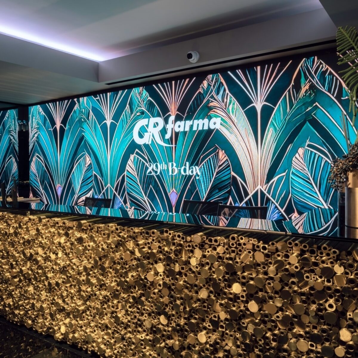 29th ANNIVERSARY GR Farma